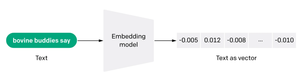 From Text to Embeddings
