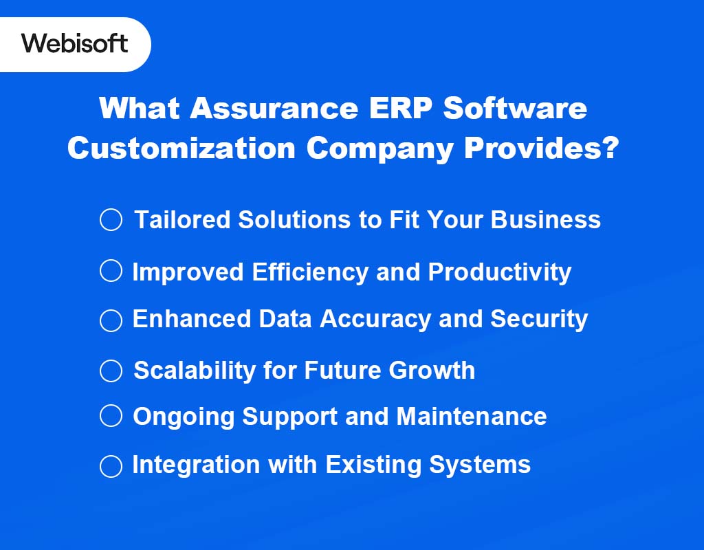 What Assurance ERP Software Customization Company Provides?