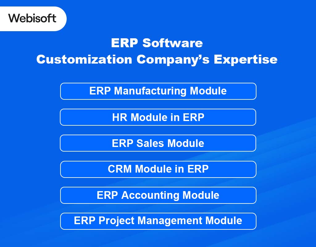 ERP Software Customization Company’s Expertise