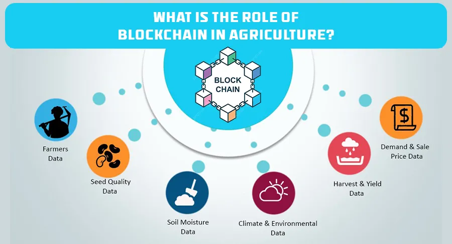 Revolutionizing Farming: The Role of Blockchain in Agriculture