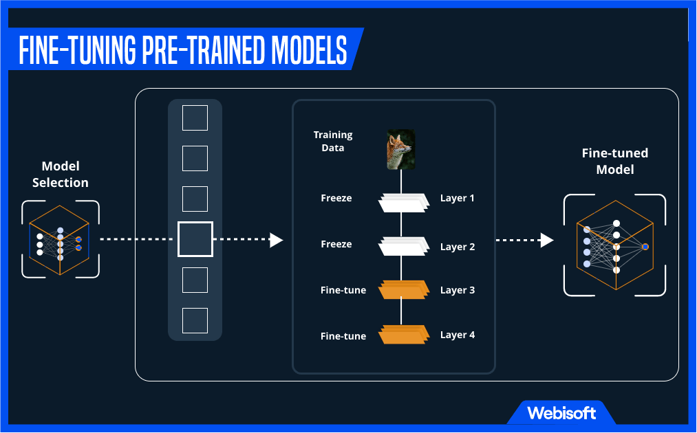 Fine-Tuning Pre-Trained Models