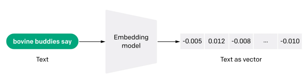 From Text to Embeddings