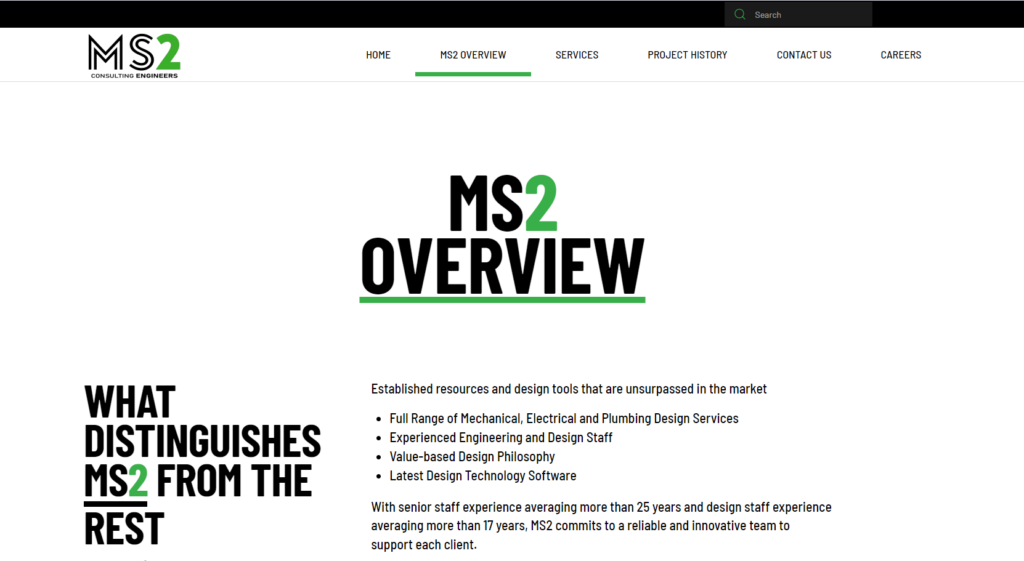 MS2 Consulting