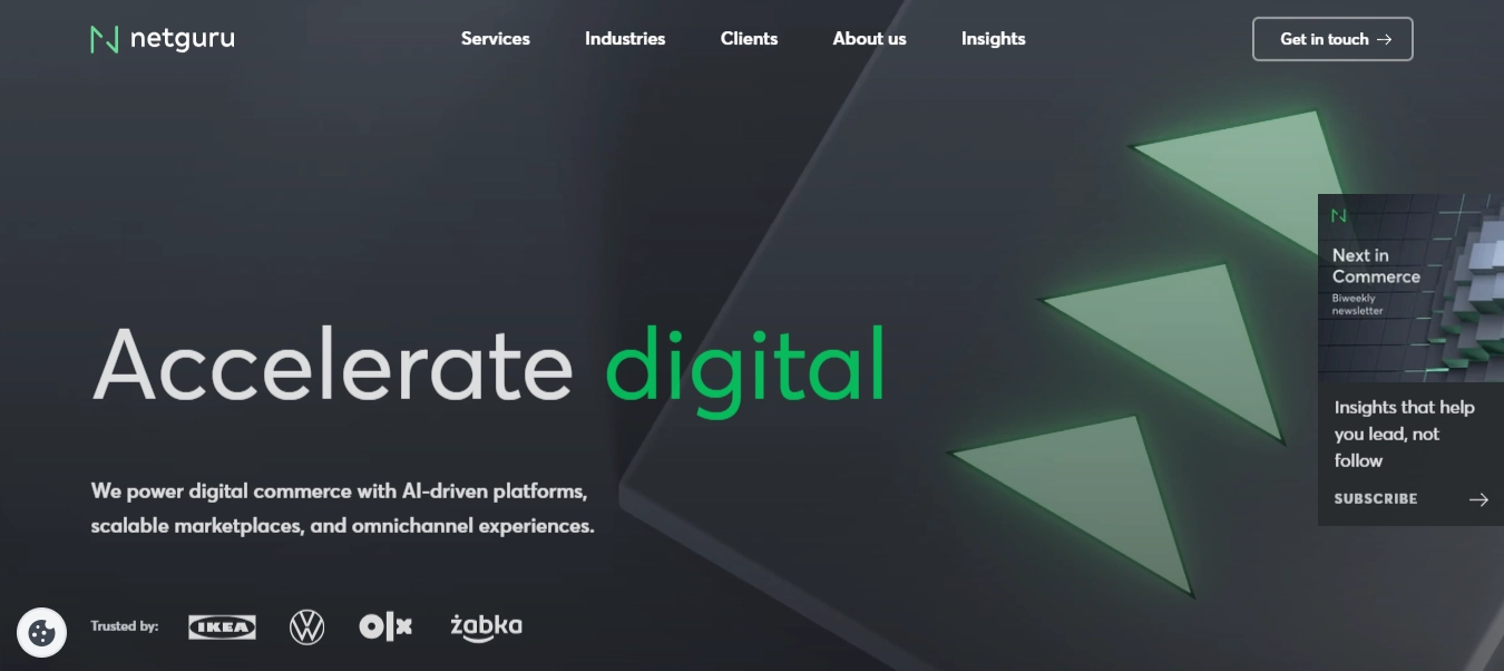 Netguru