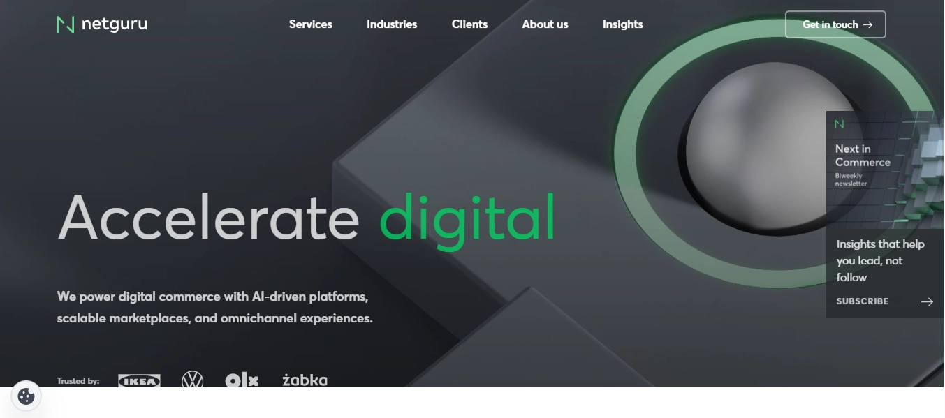 Netguru