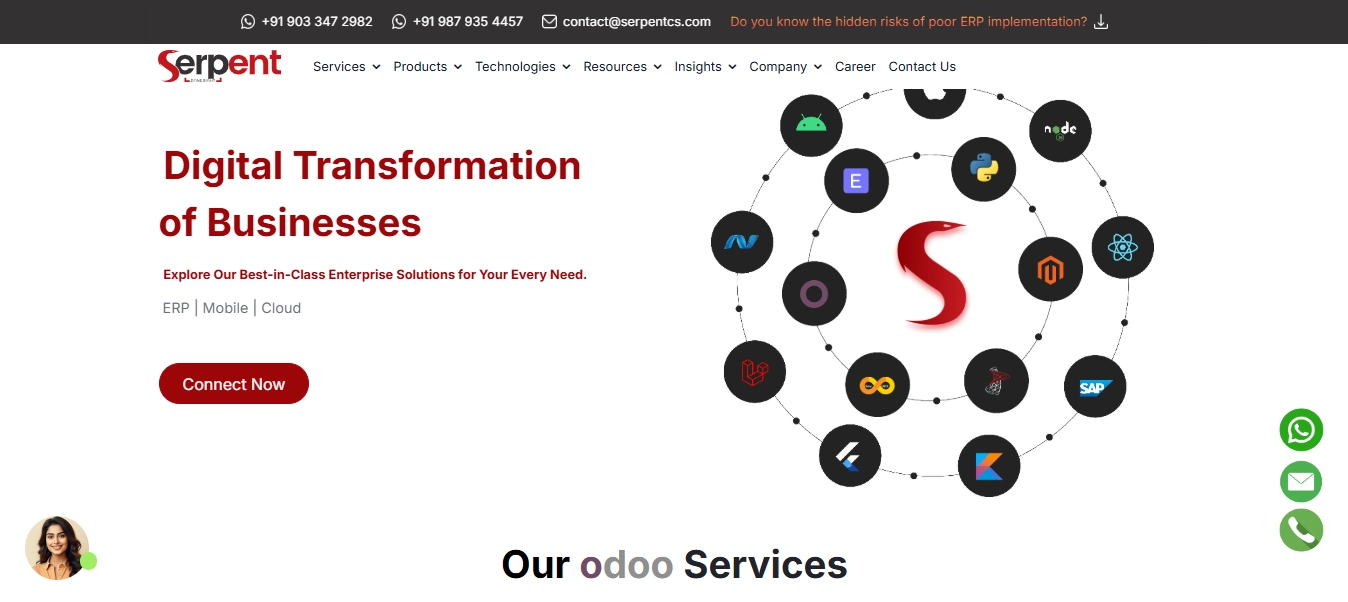 Serpent Consulting Services
