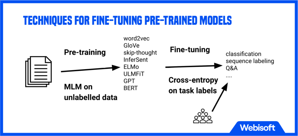 Techniques for Fine-Tuning Pre-Trained Models
