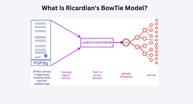 What Is Ricardian's BowTie Model