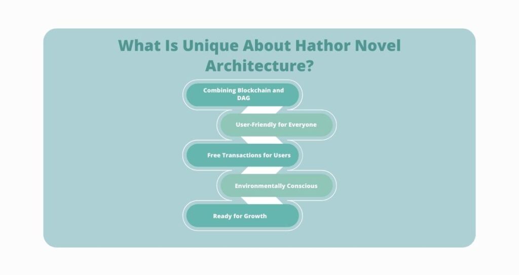 What Is Unique About Hathor Novel Architecture